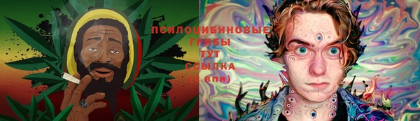 индика Алзамай