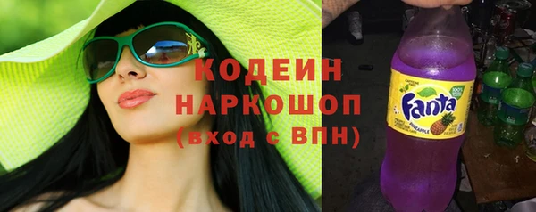 индика Алзамай