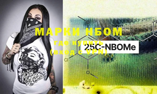 индика Алзамай