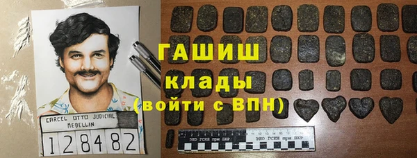 индика Алзамай