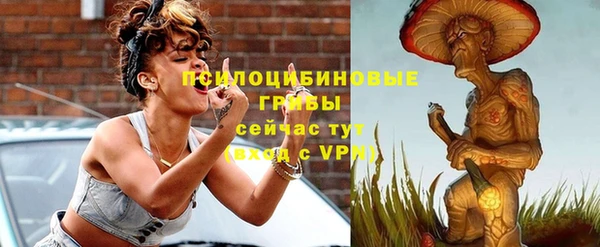 дживик Алексеевка