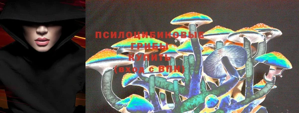 дживик Алексеевка